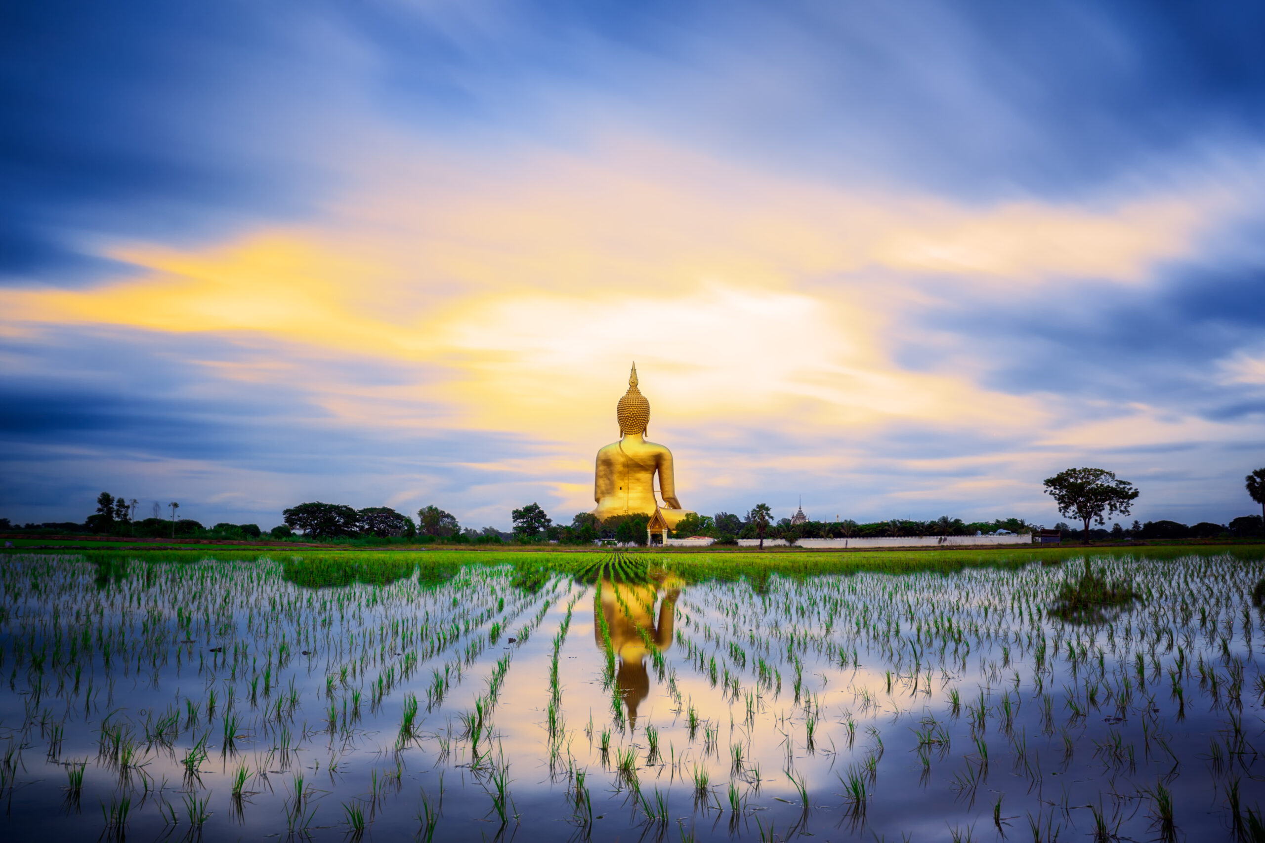 Wat,Muang,With,Gilden,Giant,Big,Buddha,Statue,In,Thailand