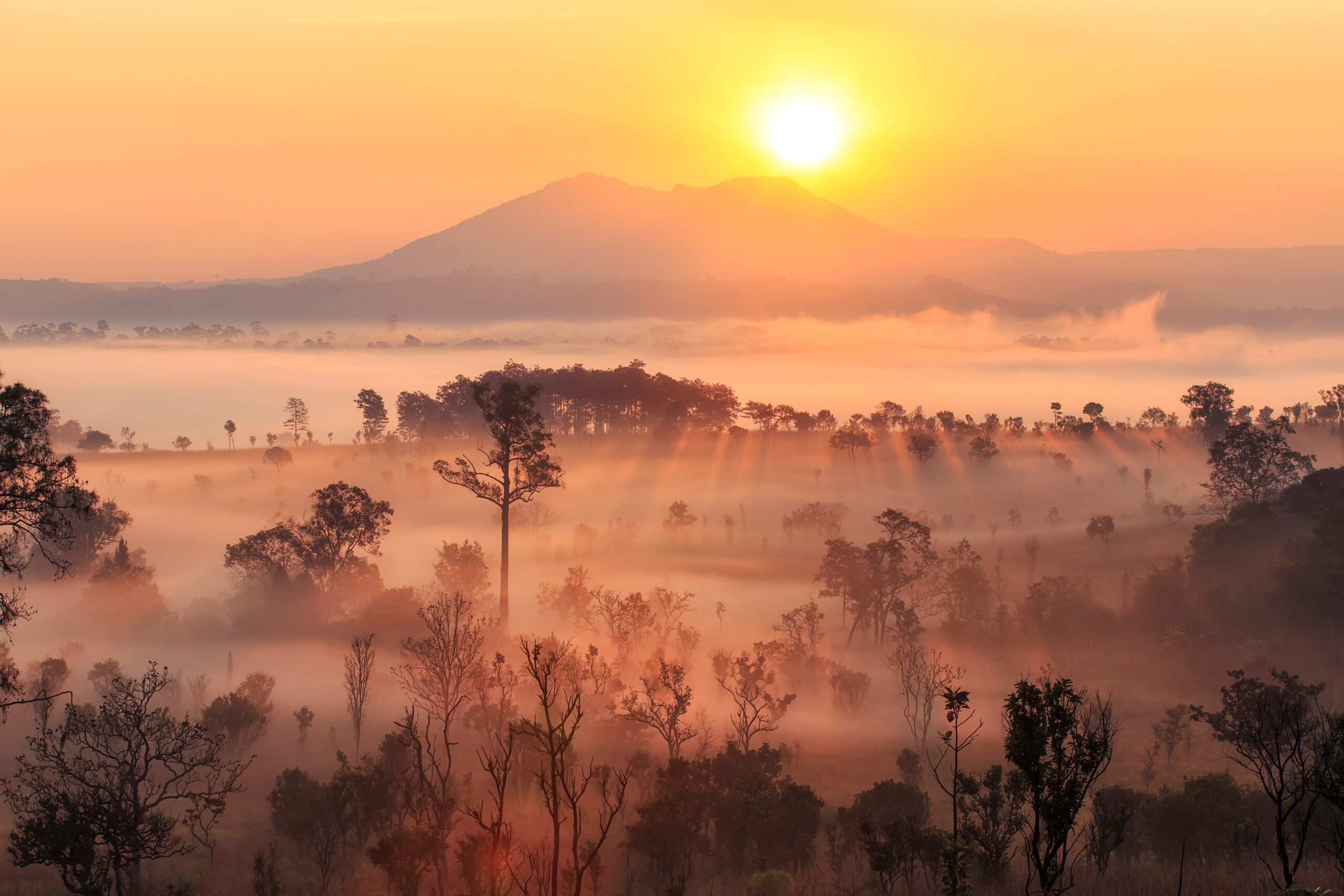 Beautiful,Natural,Landscape.,Mountain,With,The,Fog,During,Sunrise,At