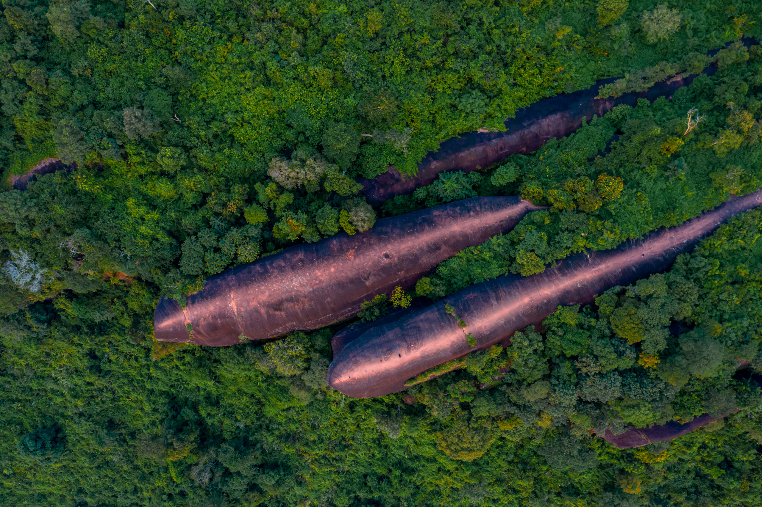 Aerial,View,Of,Three,Whales,Rock,Or,Hin,Sam,Whales