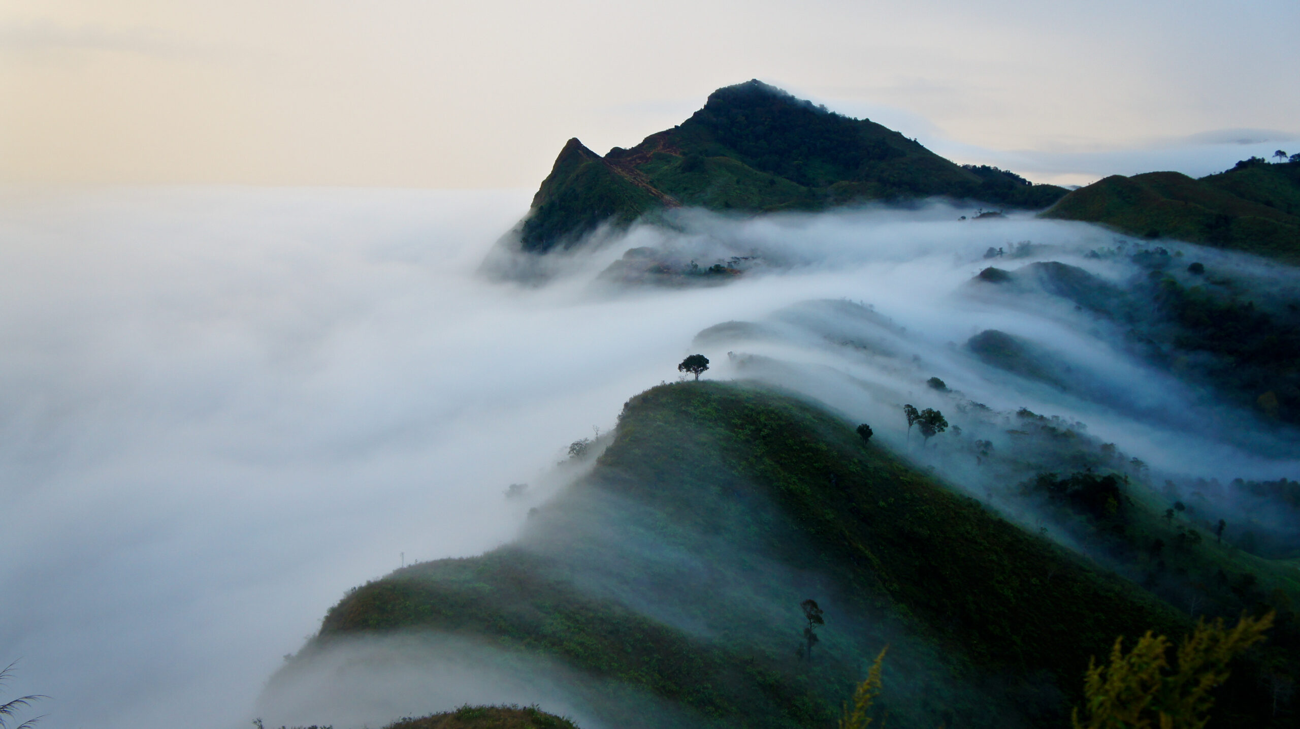 The,Mist,Moves,Through,The,Mountains,,Doi,Pha,Tang,,Chiang