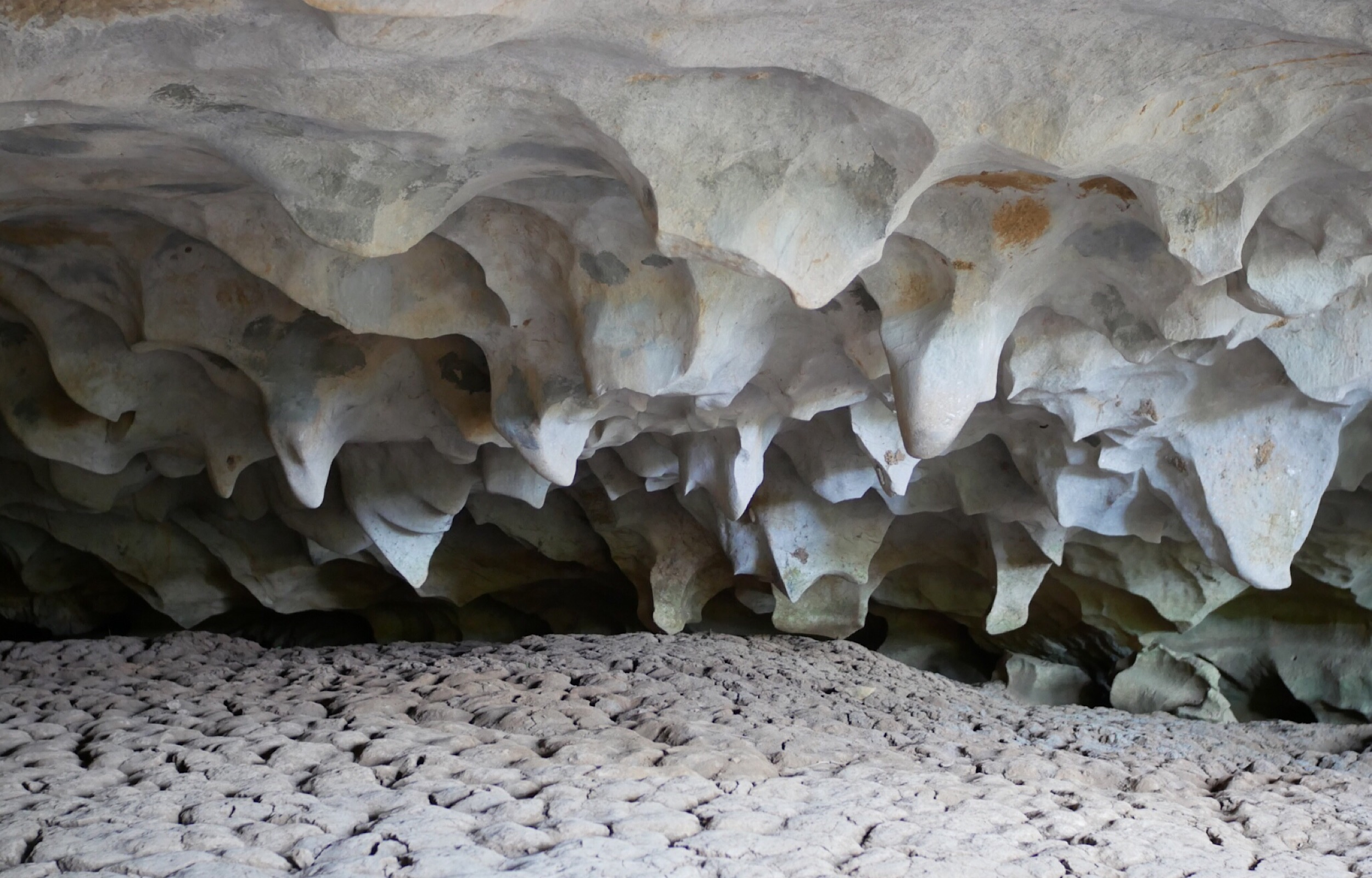 Turtle,Cave,,Stalagmite,And,Stalactite,With,Dry,Water,In,Wildlife