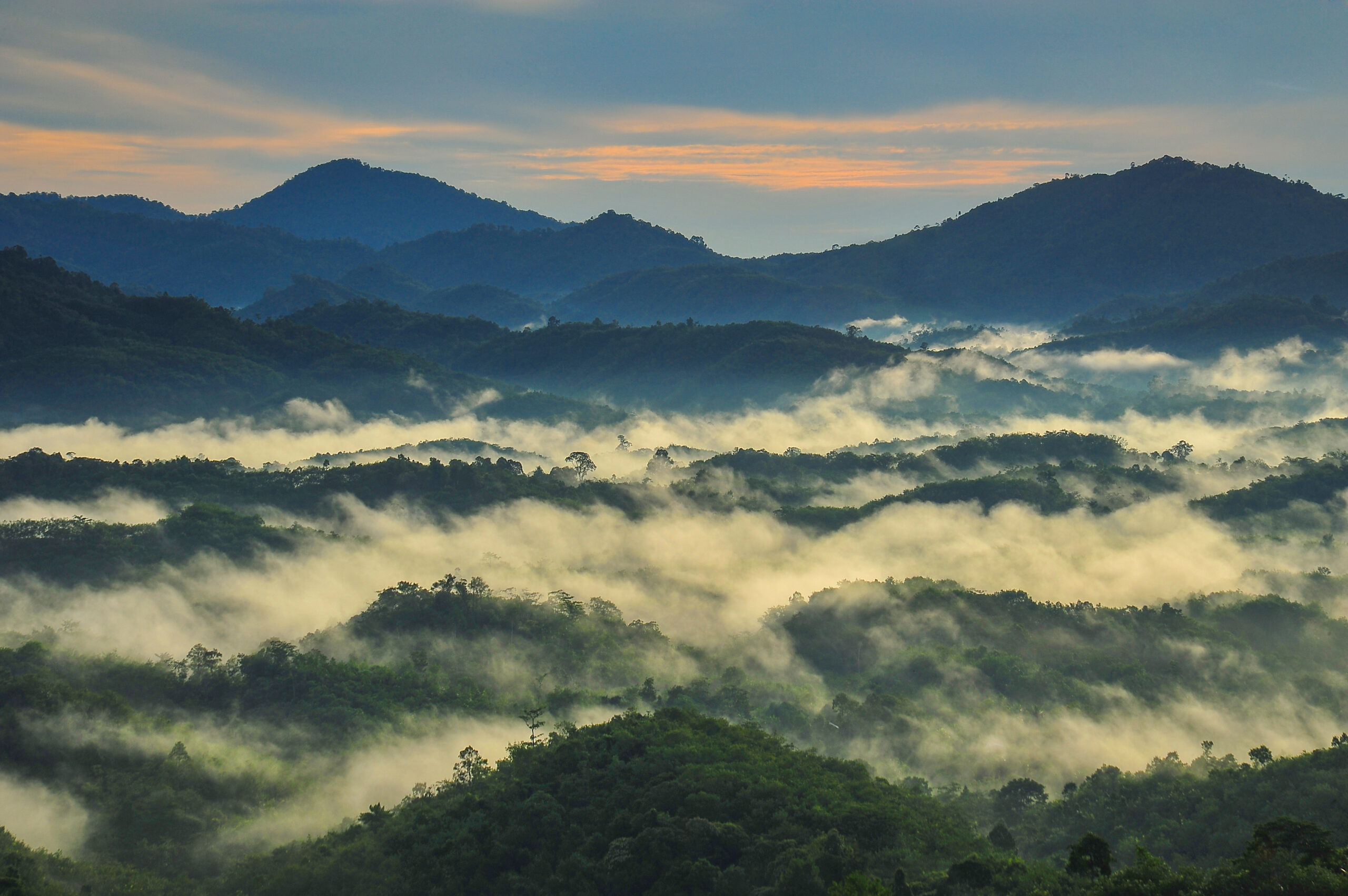 Sea,Of,Mist,,Pha,Nub,Dao,,Halabala,Wildlife,Sanctuary,In